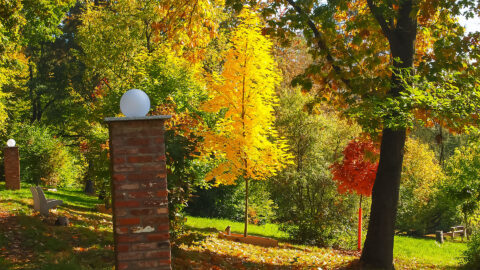 Indian Summer im Ahornpark Ilfeld