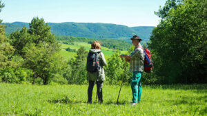 Zwei wandernde Personen auf einer grünen Wiese, im Hintergrund sind waldbedeckte Berge zu sehen.